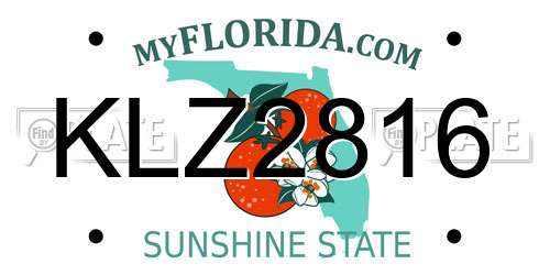 KLZ2816 Florida License Plate