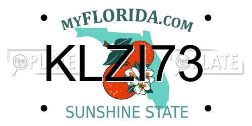 KLZI73 Florida License Plate
