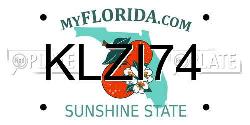 KLZI74 Florida License Plate
