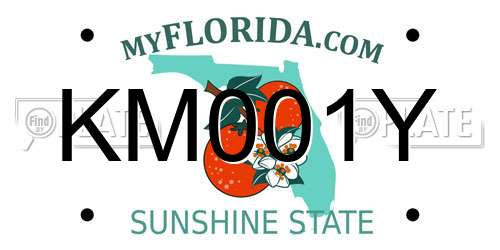 KM001Y Florida License Plate
