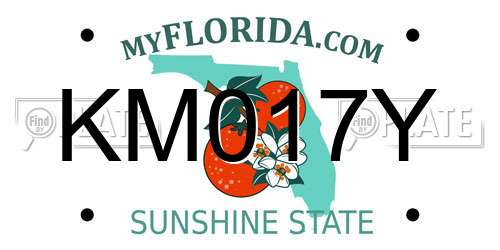 KM017Y Florida License Plate