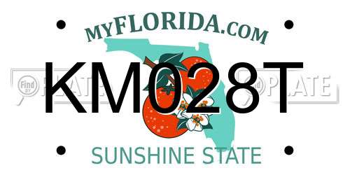 KM028T Florida License Plate