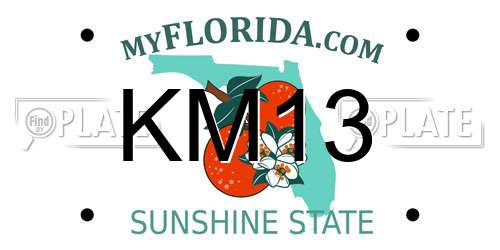 KM13 Florida License Plate
