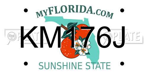 KM176J Florida License Plate