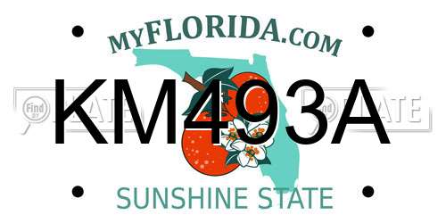KM493A Florida License Plate