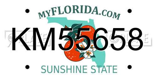 KM55658 Florida License Plate