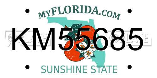 KM55685 Florida License Plate