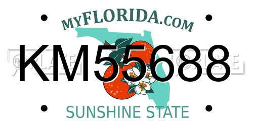 KM55688 Florida License Plate