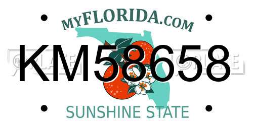 KM58658 Florida License Plate