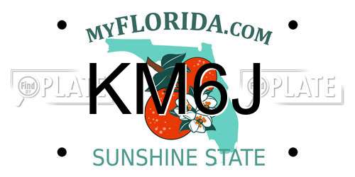 KM6J Florida License Plate