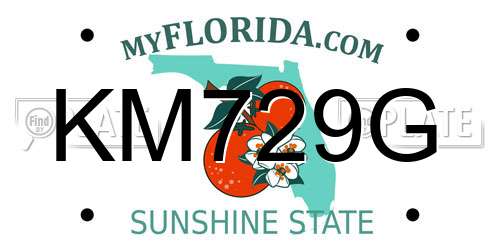 KM729G Florida License Plate