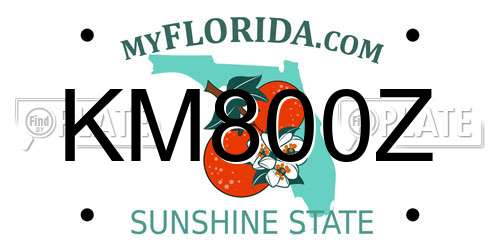 KM800Z Florida License Plate
