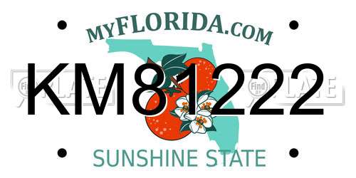 KM81222 Florida License Plate