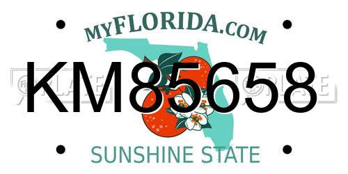 KM85658 Florida License Plate