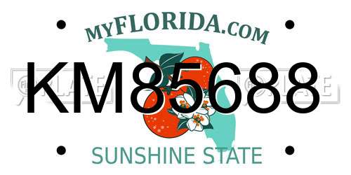KM85688 Florida License Plate