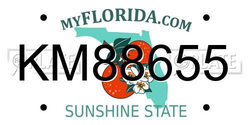 KM88655 Florida License Plate