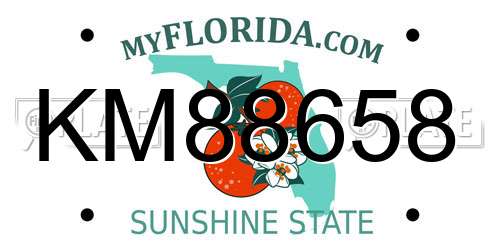 KM88658 Florida License Plate
