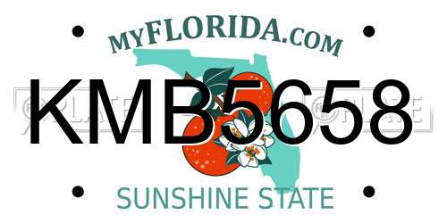 KMB5658 Florida License Plate