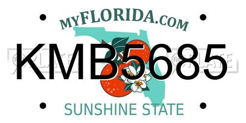 KMB5685 Florida License Plate
