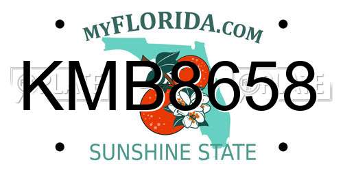 KMB8658 Florida License Plate