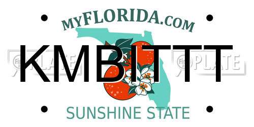 KMBITTT Florida License Plate