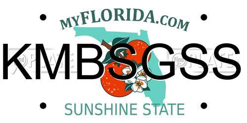 KMBSGSS Florida License Plate