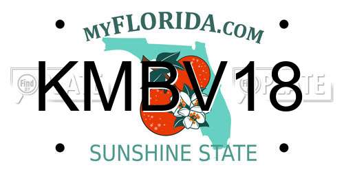 KMBV18 Florida License Plate