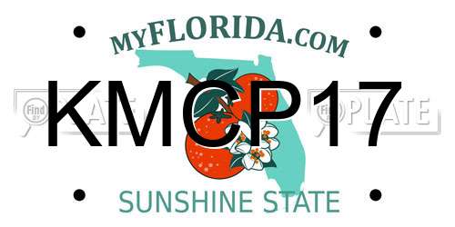 KMCP17 Florida License Plate