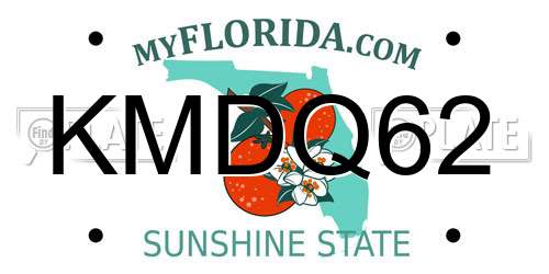 KMDQ62 Florida License Plate