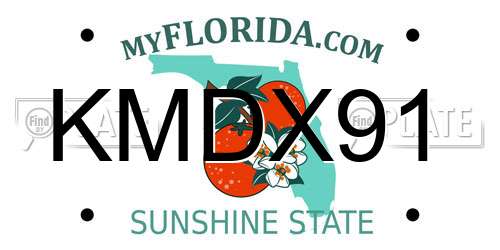 KMDX91 Florida License Plate