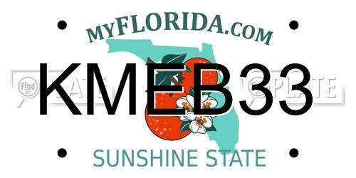 KMEB33 Florida License Plate