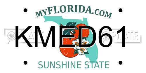 KMED61 Florida License Plate