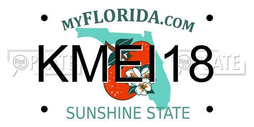 KMEI18 Florida License Plate