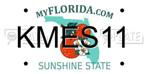 KMES11 Florida License Plate