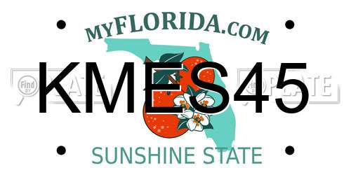 KMES45 Florida License Plate