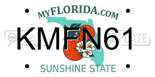 KMFN61 Florida License Plate