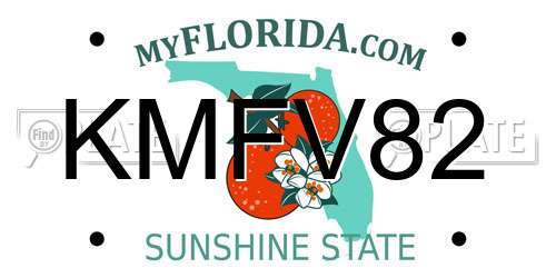 KMFV82 Florida License Plate