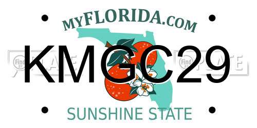 KMGC29 Florida License Plate
