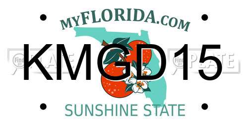 KMGD15 Florida License Plate