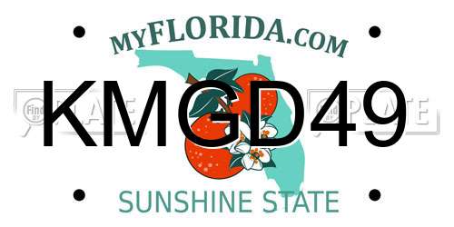 KMGD49 Florida License Plate
