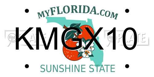 KMGX10 Florida License Plate