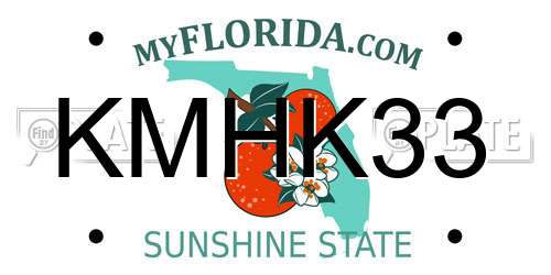 KMHK33 Florida License Plate