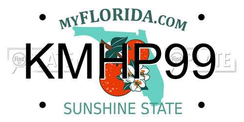 KMHP99 Florida License Plate