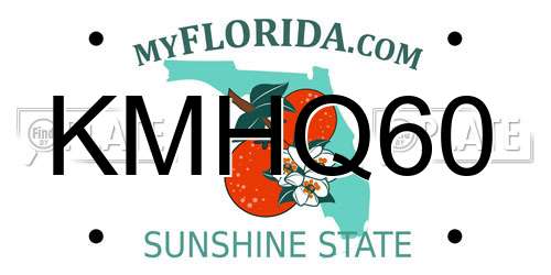 KMHQ60 Florida License Plate