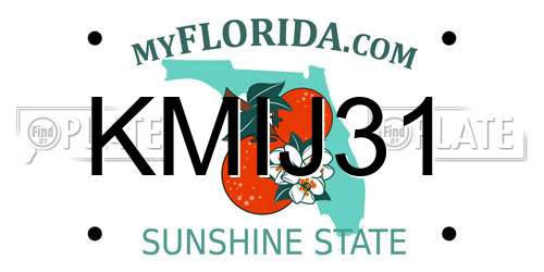 KMIJ31 Florida License Plate