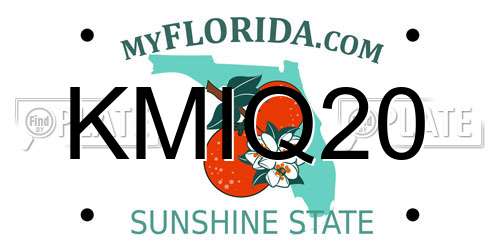 KMIQ20 Florida License Plate