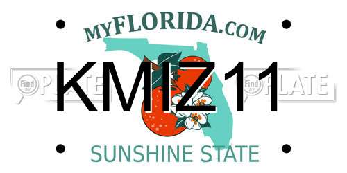 KMIZ11 Florida License Plate