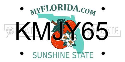 KMJY65 Florida License Plate