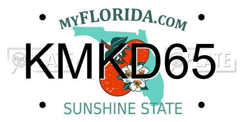 KMKD65 Florida License Plate