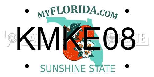 KMKE08 Florida License Plate